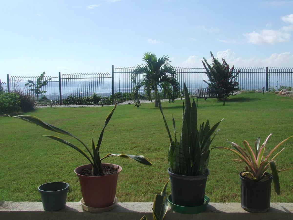 Bella Vista Villa Kingston Esterno foto