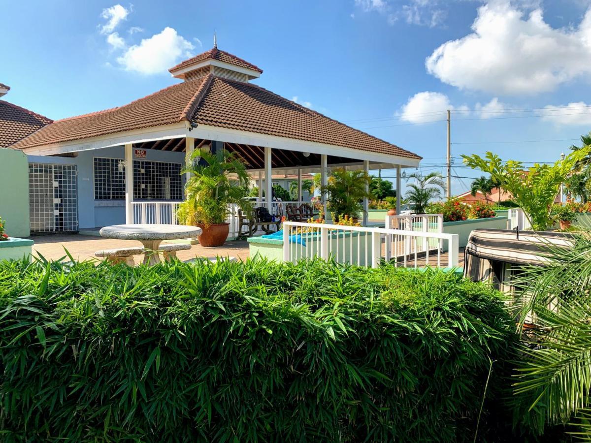 Bella Vista Villa Kingston Esterno foto